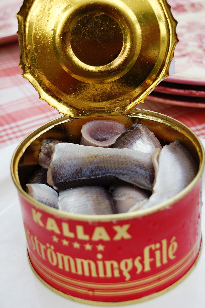 Surströmming  Local Preserved Herring From Sweden, Northern Europe